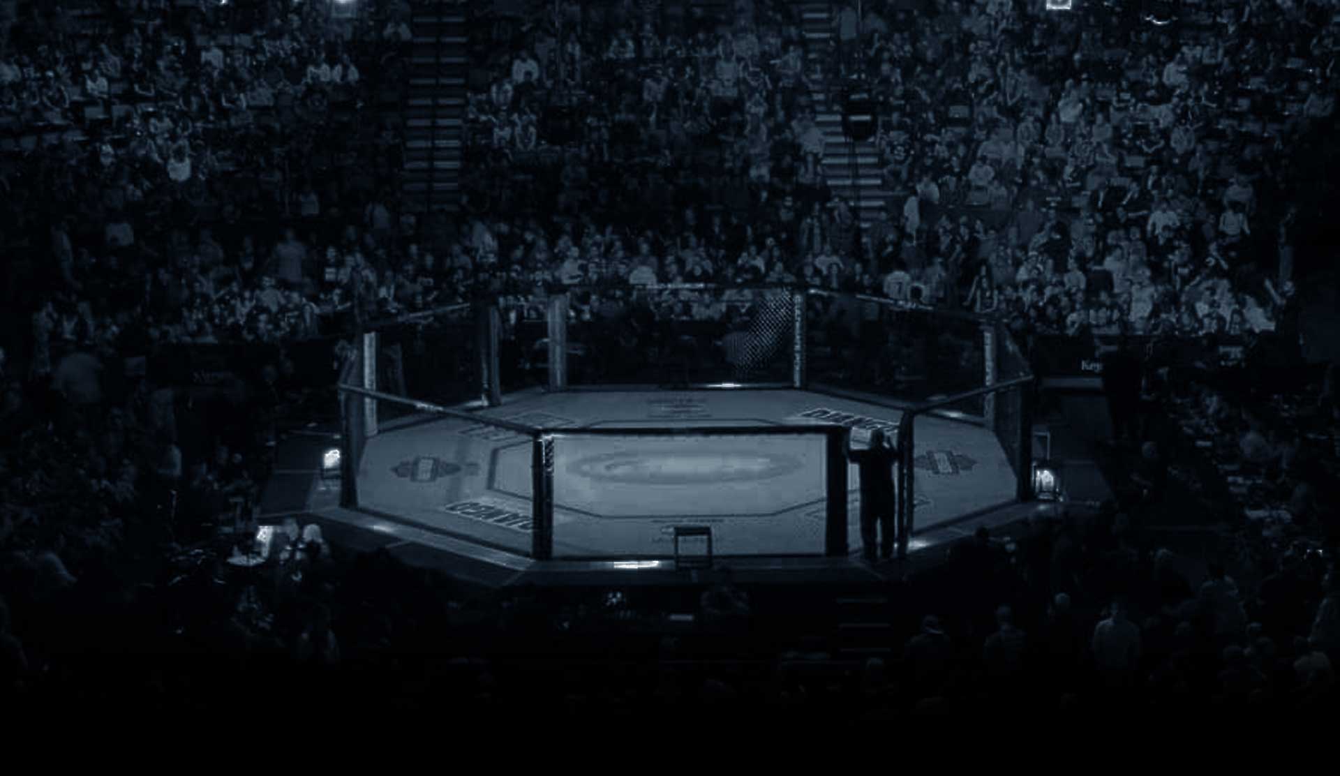 UFC Collectibles: Where Art Meets the Octagon